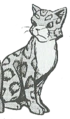 Leopardstar.GA-3.png (16 kB) Estrella Leopardina en Warrior's Return