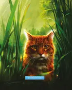 Estrella leopardina.webp (127 kB) Estrella Leopardina en The ultimate guide: Updated and Expanded edition