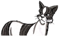 Leafstar.SE-3.png (12 kB) Leafstar en SkyClan's Destiny