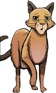 Sasha en A Shadow in RiverClan