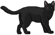 Plumclaw.guerrera.png (14 kB) Plumclaw como guerrera