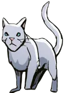 Sauce.EFS.webp (52 kB) Sauce en Exile from Shadowclan