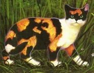 Trigueña en The Ultimate Guide