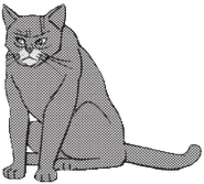 Jaggedtooth.TS-1.png (57 kB) Colmillo Roto en Into the Woods