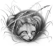 Longtail.FG-3.png (91 kB) Rabo Largo en Code of the Clans