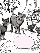 Maternidad del Viejo Bosque