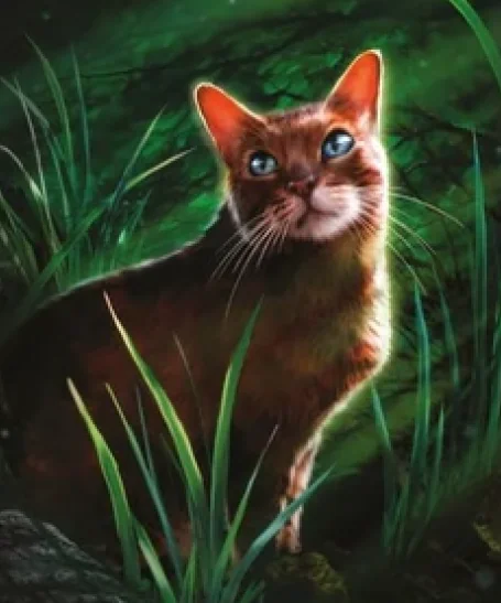 Gabarda Los Gatos Guerreros Wiki Fandom