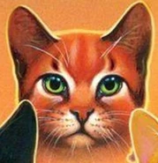 Estrella de fuego en la portada de Cats of the Clans