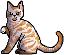 Nettlepaw como aprendiza
