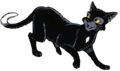 Cuervo en Ravenpaw´s Path