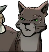 Robledo en A thief in Thunderclan
