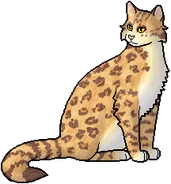 Estrella.Leopardina.Líder.png (49 kB) Estrella Leopardina como líder