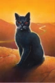 Borrasco en Cats of the clans