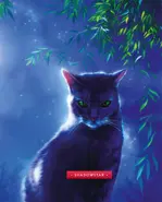 Sombra en The ultimate guide: Updated and Expanded edition