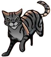 Cebrado.ASIR.png (71 kB) Cebrado en A Shadow in RiverClan