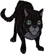Corvina en Exile from Shadowclan