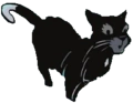 Cuervo en A Shadow in RiverClan