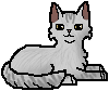 Willowkit como cachorro