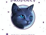 Bluestar's Prophecy/General