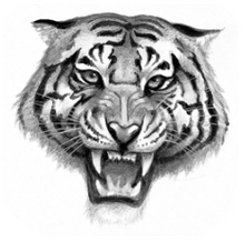 Logo-tigerclan