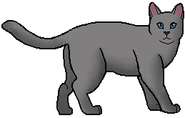 Ashheart como guerrera