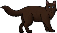 Nutria como guerrera