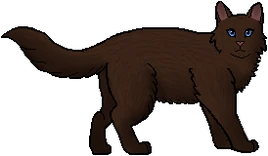Nutria
