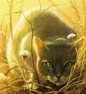 Dovewing.OTS-1-RR.png (558 kB) Zarpa de Tórtola en la portada inglesa reimpresa de The Fourth Apprentice