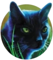 Cuervo en la portada de Ravenpaw's Farewell