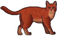 Redclaw como guerrero