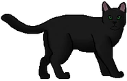 Ala Nocturna.guerrera.png (12 kB) Ala Nocturna como guerrera
