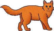 Foxheart como guerrera