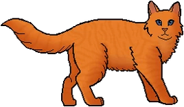 Zorruna