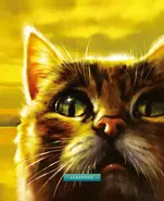 Hojarasca acuática.webp (119 kB) Hojarasca Acuática en The ultimate guide: Updated and Expanded edition