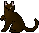 Shrewpaw como aprendiz