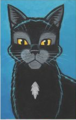 Cuervo en la portada de Ravenpaw's Path
