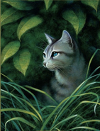 Ivypool.FG-6.png (550 kB) Espinela en The ultimate guide