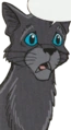 Orvallo en Ravenpaw's Path