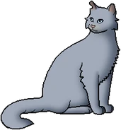 Estrella Azul como líder