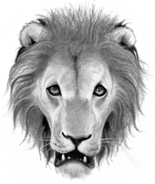 Logo-lionclan