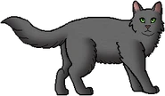 Voleclaw como guerrero