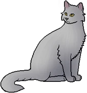 Hailstar como líder