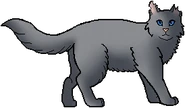 Pedrizo como guerrero