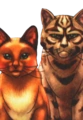 Estrella de Tigre en la portada de Return to the Clans