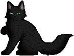 Leopardpaw como aprendiza