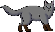 Mudclaw como guerrero