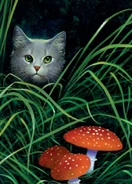 Dovewing.FG-6.png (461 kB) Ala de Tórtola en The Ultimate Guide