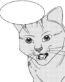 Leopardstar.TS-3.png (13 kB) Estrella Leopardina en Return to the Clans