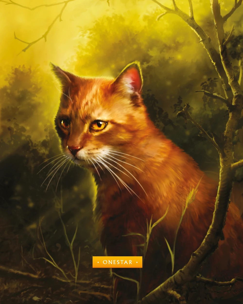 Livro El Cuarto Aprendiz (Los Gatos Guerreros , El Augurio De Las Estrellas  1) de Erin Hunter (Espanhol)