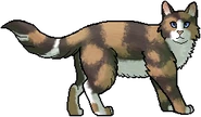 Musgosa guerrera.png (38 kB) Musgosa como guerrera